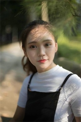 喜羊羊之设计方程式-这部作品讲的是什么