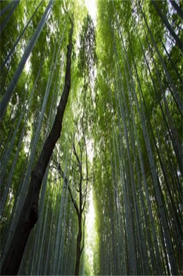爱奇艺海贼王版权到期-信息核验与说明