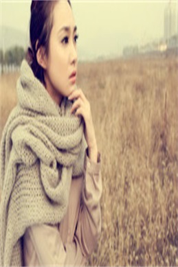 2012喜上加喜粤语-贺岁喜剧喜上加喜粤语原声在哪看