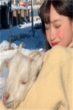 人妻heyzo系列番号封面-查看前的注意事项